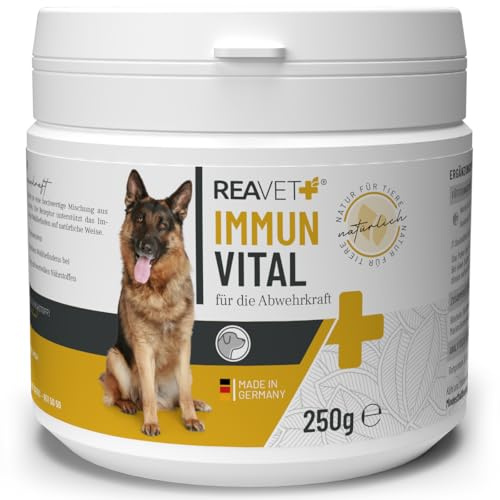 ReaVET Immun Vital für Hunde - Immunsystem & Abwehrkräfte stärken I Vitamine für Hunde, Aufbau Immunsystem, Nährstoffreich & mit Vitamin C, Mineralien, Multivitamin-Pulver 250g