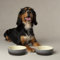 Scruffs Ombre 2pc Ceramic Dog/Pet Bowl Set - Grey 13cm