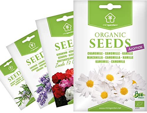 Semi Biologici Certificati Minigarden, 6350+ Semi, Selezione AROMI: Camomilla, Rosmarino, Lavanda e Geranio