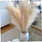 Faux Pampas hierba Pampas grande Decoración de hierba Artificial Fluffy Pampas Grass para decoración de la habitación 6pcs 45 cm White, Artificial Pampas Grass Plant, Faux Pampas Grass
