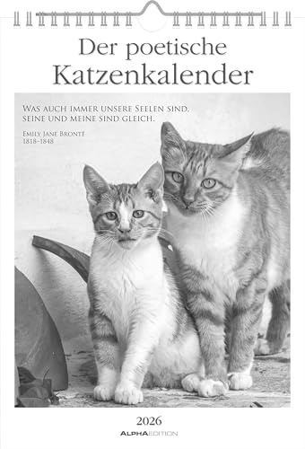 Alpha Edition - Der Poetischer Katzenkalender 2026 – Wochenkalender 21×30 cm mit 53 Katzenmotiven & Zitaten, inspirierender Wandkalender für Katzenliebhaber