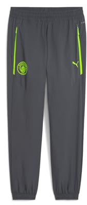 PUMA Manchester City FC Men's Pumatech Pants 25/26, Grey (Galactic Gray x Pro Green), s