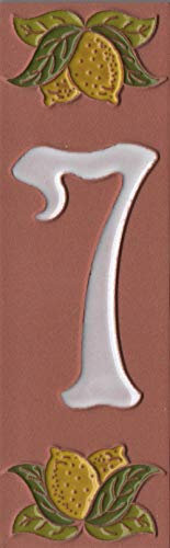 Piastrelle in vetro smaltato, con numero civico, in terracotta, dipinta a mano, 15 x 5 cm, motivo: limone, numero 7
