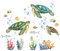 Thoquene 2 Stück Wandtattoo Fische Schildkröte Seetang Unterwasserwelt Meer Badezimmer Bad(30x60cm)