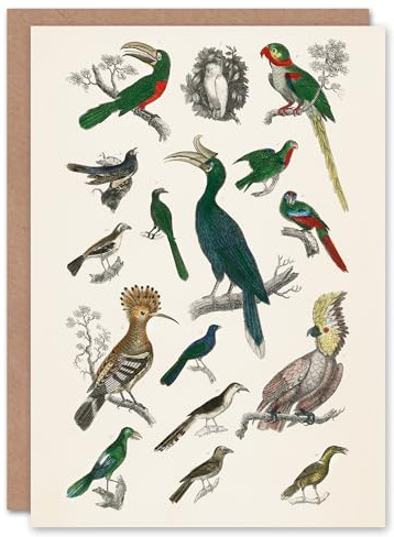 Artery8 Oliver Goldsmith Art Card Various Birds Vintage Illustration
