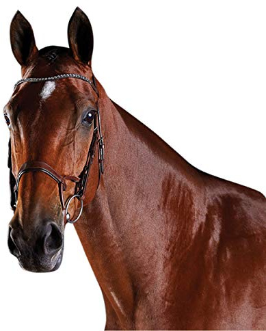 Collegiate ComFiTec Crystal Bridle, Brown, Full