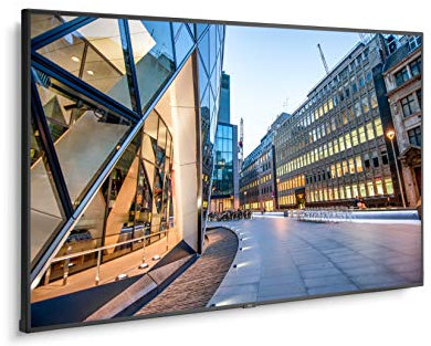 NEC Multisync C981Q Monitor