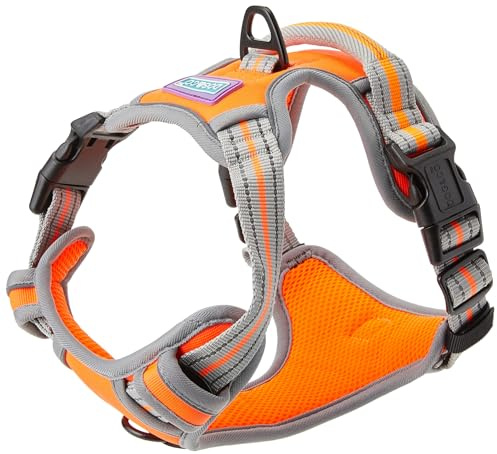 Dog & Co Sportgeschirr, gepolstert und reflektierend, Orange, Größe M