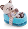 NICI Kuscheltier Katze im Körbchen 12 cm – Sleeping Pets Plüschtier Siam-Katze für Mädchen, Jungen & Babys – Stofftier Katze zum Kuscheln, Spielen & Schlafen – Gemütliches Schmusetier