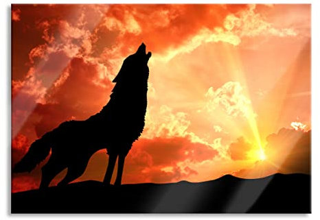 Pixxprint Glasbild, Wandbild aus Echtglas, Wolf Heulen, 60x40 cm, inkl. Aufhängung und Abstandshalter