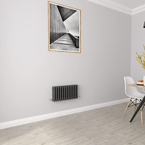 Radiatori Antracite Orizzontali 3 Colonne Rads Ghisa Stile Riscaldamento Centrale Radiatori per Bagno,Soggiorno e Cucina 300x605mm
