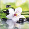 ARTLAND Spritzschutz Küchenrückwand Küche Herd Glas mit Motiv 60x60 cm Design Asien Orchideen Blumen Blüte Natur Bambus Zen Steine Grün T9IQ