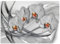 Feeby Papier Peint Intisse Abstrait Contexte Perles 300x210 cm blanc Moderne Panoramique XXL Photo Mural Muraux Chambre Bureau Salle Orchidées Fleurs Vagues