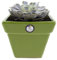 CERMIQUE RAMBLEÑA | Pots de terre rouge | Pots décoratifs | Pots en céramique | Pot extérieur | Pots carrés vert uni | Modèle D108 | 17,5 x 17,5 x 14,5 cm