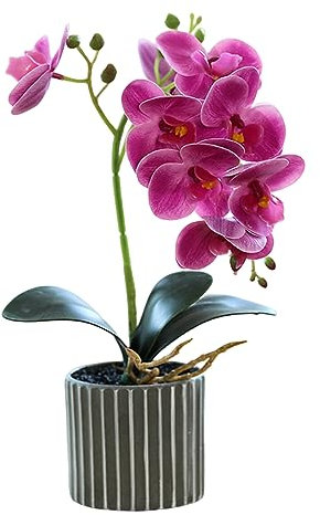 Jorzer Künstliche Orchidee 32 cm Orchideen Kunstblumen groß realistische künstliche Orchidee im Topf fühlt Sich echt an dekorative Bonsai-Kunstblumen für Zuhause Violett