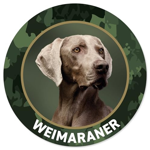 Weimaraner Jagdhund Premium Hunde Aufkleber, Sticker für Auto, Pkw, Kfz, Kofferraum oder Autoscheibe - mit Hunde und Jagdhundemotiven, Ø 10 cm, Outdoor geeignet, mit Abziehlasche - Made in Germany