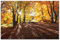 Postereck - 3165 - Herbst, Park Bäume Laub Weg Allee Sonne Wald - Wandposter Fotoposter Bilder Wandbild Wandbilder - Poster - 4:3-81,0 cm x 61,0 cm