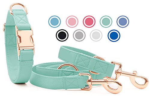 Weich Leder Hundehalsband und Leine (2m) Set - 3-Fach Verstellbar Hundeleine mit Halsband, Stilvollen Rose Gold Metall Schnalle & Nylon Hund Leinen für Welpen Kleine Mittlere Große Hunde Grün,M