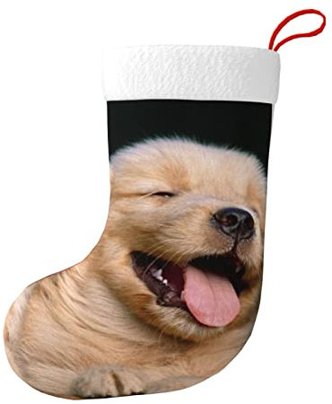 ASEELO Golden Retriever Weihnachtsstrümpfe für Hunde, Welpen, Haustiere, personalisierte Strümpfe