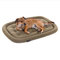 Pointer | Orthopädisches Hundekissen Mittelgroße Hunde, 90x60 cm - Hundebett Waschbar bis 95°C, Geruchsfrei, Robust, Indoor & Outdoor, Made in Germany (L - 90x60 cm, Goldbraun)