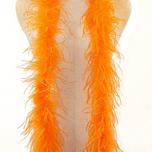 ISAKEN Federboa 2M Flauschige Boa Federn Feder Schal Verkleidung Federdichten Flauschige Girlande Straußenfedern für Damen Kinder Karneval Fasching Stola Kostüm Party Heimdekoration