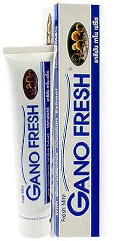 Gano Fresh – Zahnpasta Pilz Ganoderma | Natürlich angereichert mit Reishi Ganoderma | guter frischer Atem | Weiße Zähne