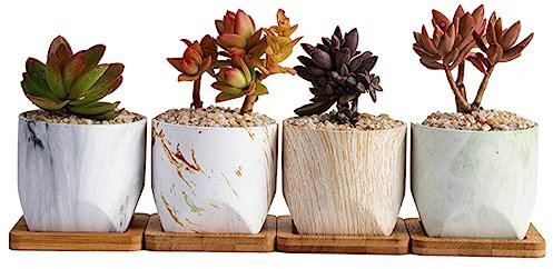 Sosoport 1satz Keramische Blumentöpfe Set Mit Stilvolles Design Mit Marmor- Für Sukkulenten Und Kakteen Bambusuntersetzer Für Badezimmer Und Wohnräume