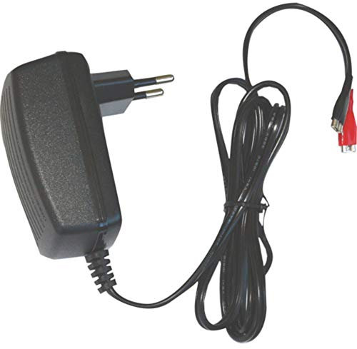 DSK 6876 bc-6500 – Caricatore da 6 V Per Batteria piombo automatico, Nero