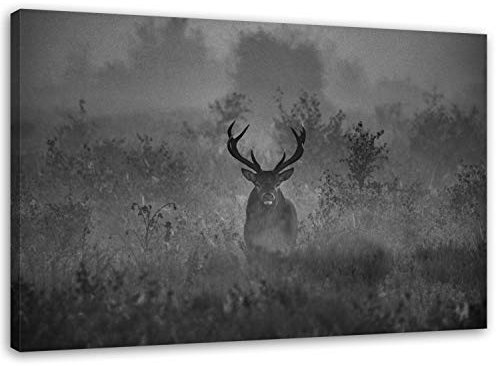 Feeby Bilder Hirsch 120x80 cm 1 Teilig Wohnzimmer Schlafzimmer Büro Flur Küche Wandbilder Leinwandbilder Modern Bild auf Leinwand Wanddekoration Kunstdruck Design Natur Schwarz Weiß
