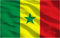 SHATCHI Grand drapeau du Sénégal en polyester avec œillets en laiton pour supporter la Coupe du Monde de la FIFA, football, rugby, vert, jaune et rouge 150 x 90 cm