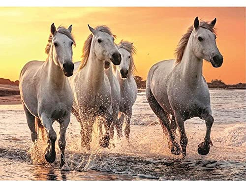 Puzzle 500 pièces : Chevaux Dans Les vagues