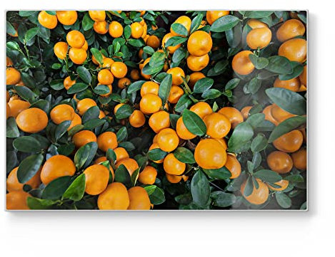 DEQORI Schneidebrett aus Glas | groß 30x20 cm | Motiv Mandarinenbaum nah | Design Schneideplatte für Küche | Frühstücksbrett antibakteriell & rutschfest | Glasplatte & Servierplatte