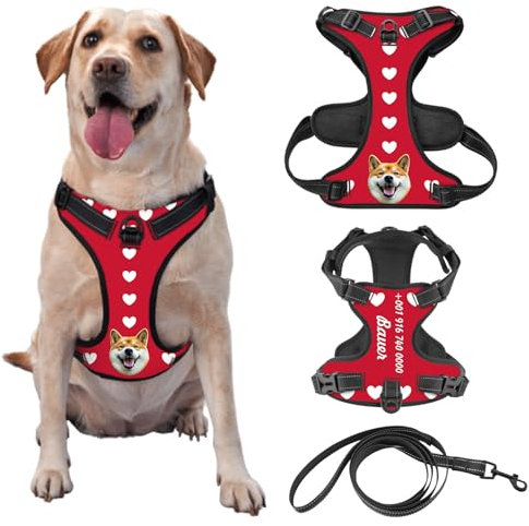 Individuelle Hundegeschir mit Foto und Namen des Tieres, Personalisierte Verstellbare Reflektierende Weste für Haustiere, Geeignet für Outdoor-Läufe zur Vermeidung von Verlusten, Optional mit Leine