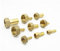 IkErna Tuyau Cannelé Femelle 3/4 Bsp En Laiton, Raccord de Tuyau 8 Mm, 10 Mm, 12 Mm, 14 Mm, 16 Mm, 19 Mm, 25 Mm, 2 Pièces/3/4/14Mm
