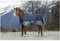 Winterdecke 50g Füllung 600D TYREX EquiTheme Marineblau/grau 120cm