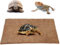 Plyisty Kokosfasermatte, Reptilienteppich Langlebig und praktisch mit großer Größe für Pet Terrarium Liner