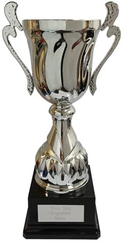 County Engraving Personalised Large Silver Metal Presentation Cup Trophy Engraved Multi Award - Enter Your Own Custom Text