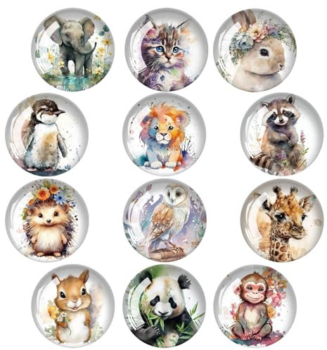 Jisrcha 12 Stück Set Kühlschrankmagnete, Sternenhimmel and Tier Muster Bunt Magnete Kuehlschrank, Fridge Magnet, Lustige Round Magnete für Magnettafel, Refrigerators, Whiteboards, Kitchen, Büro (C)