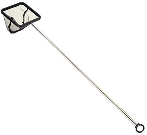 riou Pool Kescher Feinmaschig mit Teleskopstange Schwimmbad Blatt Laubkescher Garnelennetz Fischernetz Skimmer Netz für Aquarien Schwimmbad (Schwarz)