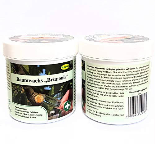 Baumwachs Brunonia 2x 250g Fungizidfrei Wundverschluss Baumpflege