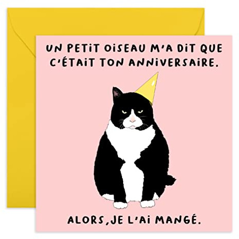 Central 23 Carte d'anniversaire sympa - 'Un petit oiseau m'a dit que c'était ton anniversaire' - Carte d'anniversaire pour chat - Comédie - Pour les hommes et les femmes - lui ou elle