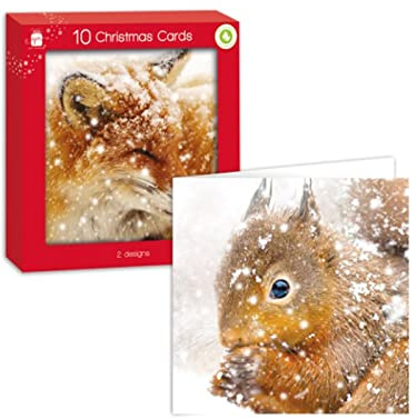Giftmaker Pack 10 Square Christmas Cards 2 Woodland Animal Designs