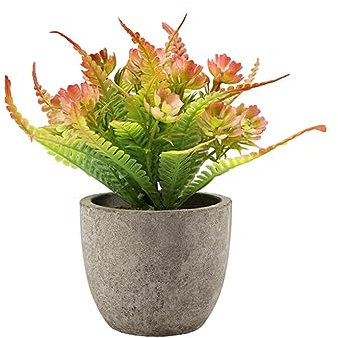 EIOLWJIEO Langlebige Haltbarkeit Künstlicher Geldbaum im Topf für drinnen oder draußen, realistisches Aussehen, künstlicher Sukkulente aus Kunststoff, rote Rose