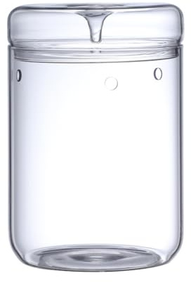 NIZEAMI Mikro-Landschaftsglasterrarium mit Tausammeldeckel, Bonsai-Vase Aus Glas, Mikroskopische Landschaft, Ökologische Flasche L