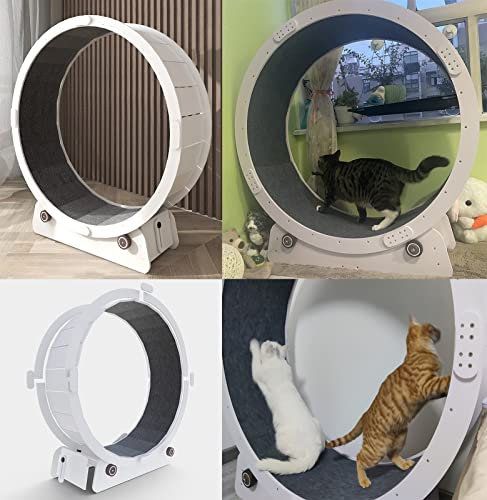 Katzenlaufrad, Laufband für Katzen, Laufband, leise, kleine, mittelgroße und große Laufbänder für Katzen, Laufrad für Katzen, Spielzeug, Indoor-Katzenlaufrad für Kätzchen, Haustiere (Größe: