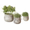 Loberon Übertopf 3er Set Sunvale, DREI Größen, Trendige Beton-Optik, handgefertigt, Gartenzubehör, Outdoor, Pflanzgefäß, Zement, Sand, Stein, Kokosfasern, grau