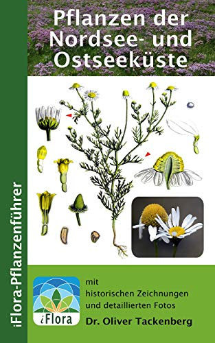 Pflanzen der Nordsee- und Ostseeküste (iFlora Pflanzenführer 5)