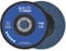 CCLIFE 10 Pezzi Disco lamellare ø125 mm Grana P80 / P60 - Disco lamellare abrasivo Mop piatto inox, per metallo, acciaio e legno Grana P80