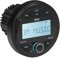 BOSS Audio Systems