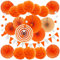ZERODECO Party Dekoration Papier Pompoms, Orange Aufhängen Fächer Dreieckige Wimpel und hängende Glitter Punkt Papier Girlande Dekorpapier für Party Hochzeit Geburtstag